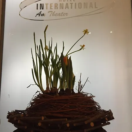 国际大戏院酒店 酒店 蒙斯特
