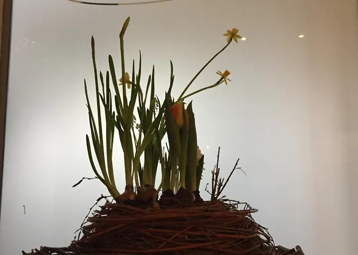 International Am Theater Hotel Munster (North Rhine-Westphalia)